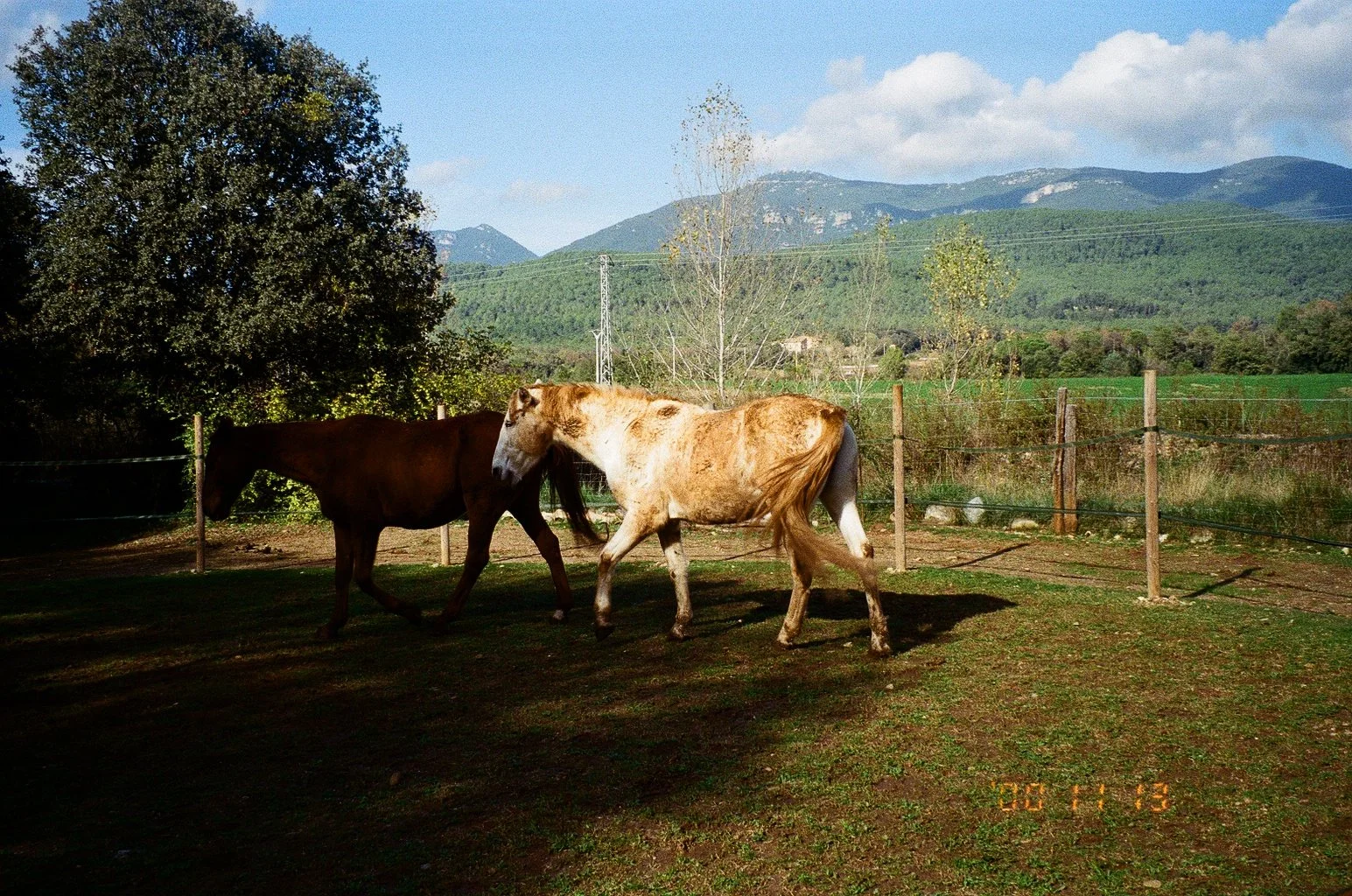 0424_26A.jpg