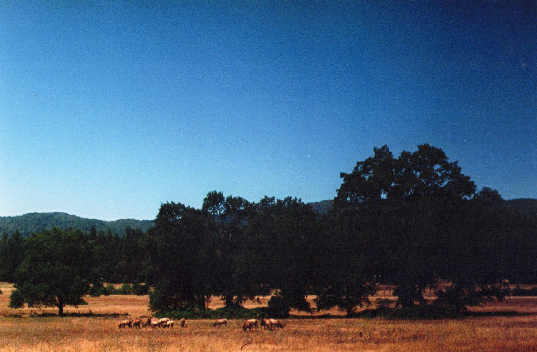 Image_20260515_0003.jpg