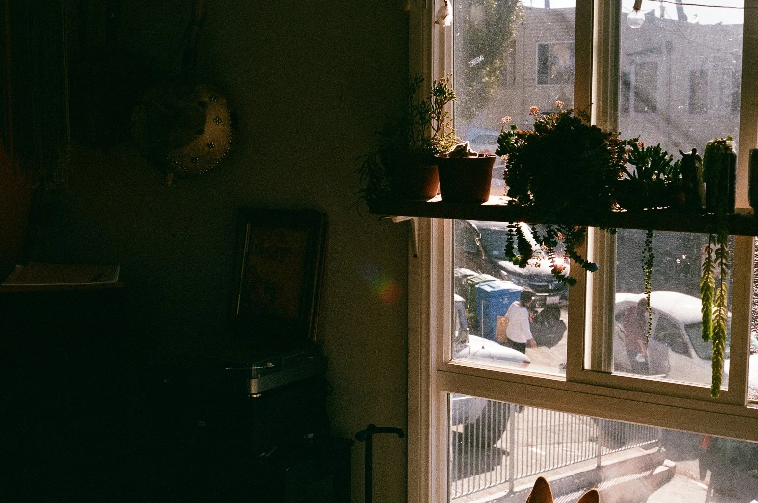 9967_22.jpg