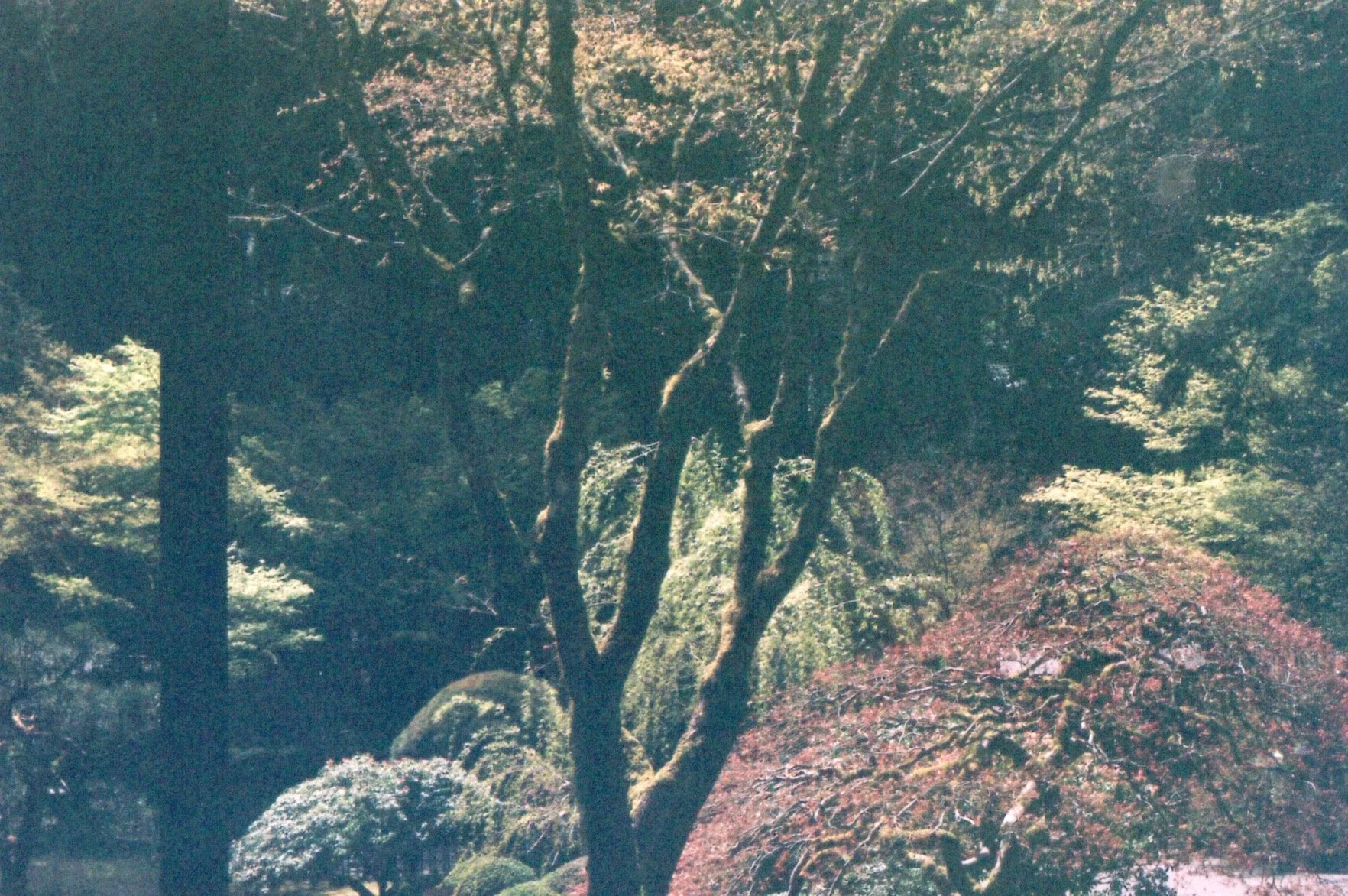 Image_20260513_0019.jpg