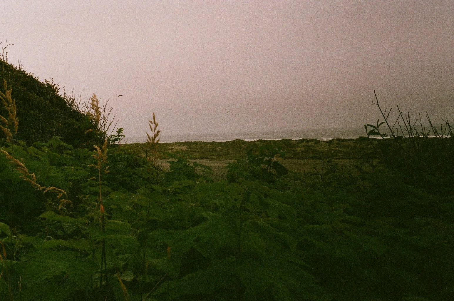 9962_19A.jpg