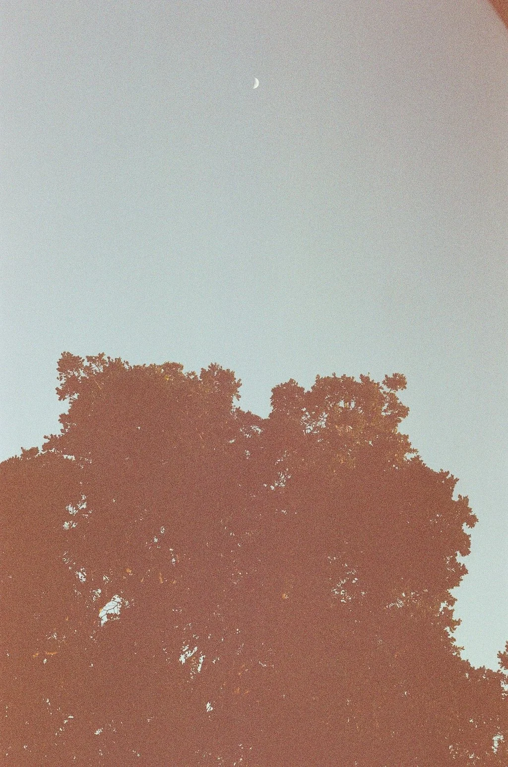 001134660018_###.jpg
