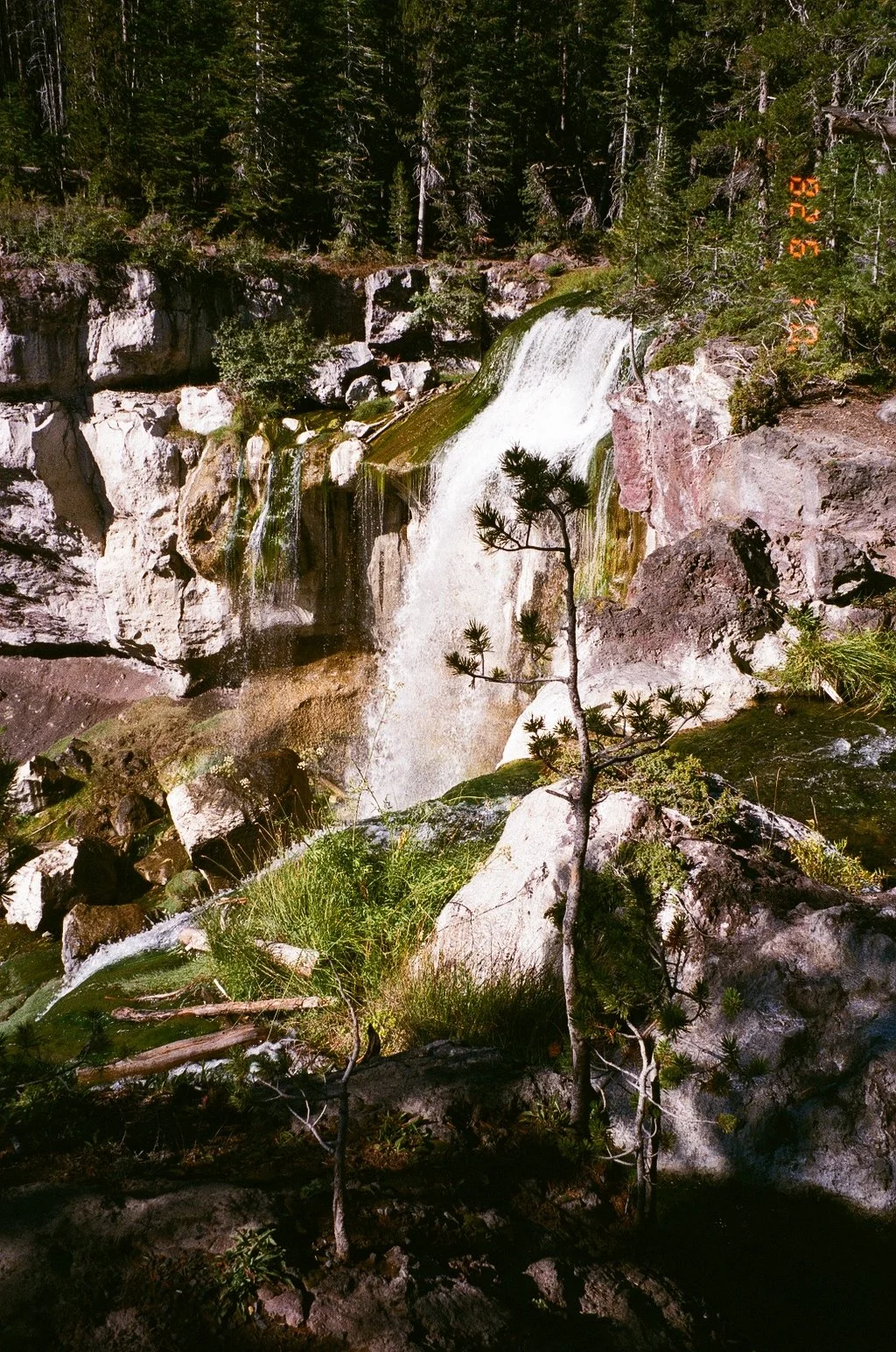 8792_16A.jpg