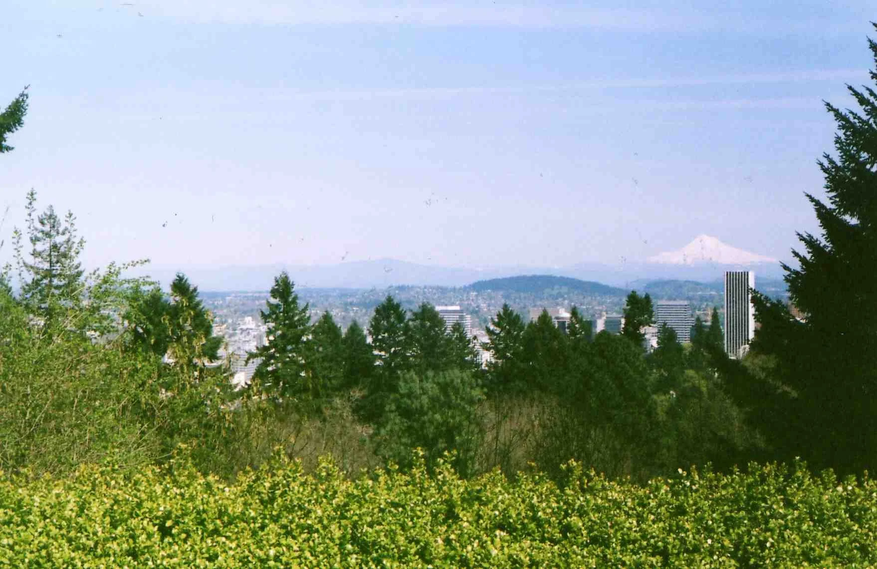 img072.jpg
