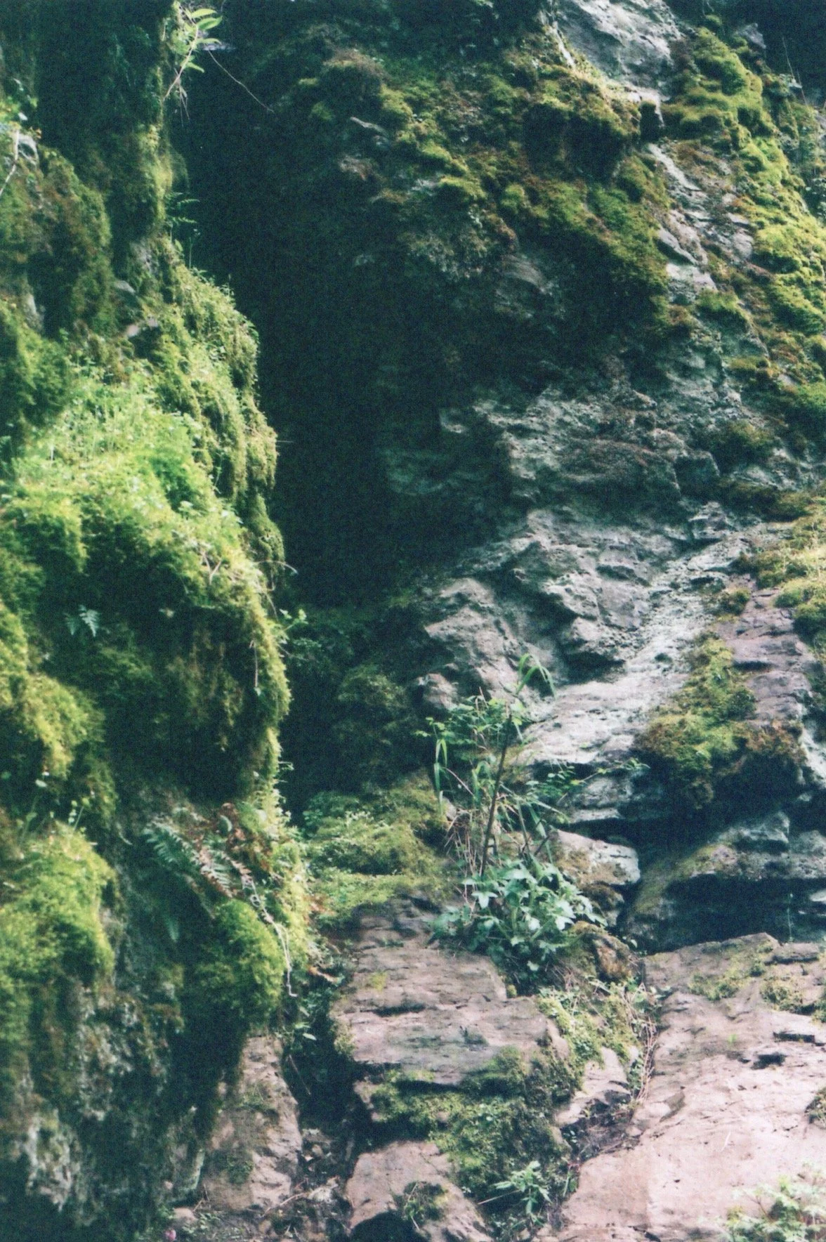 Image_20260513_0010.jpg