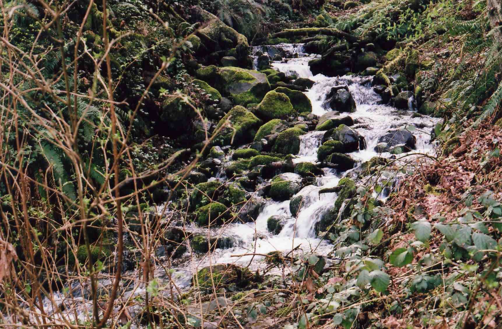 img063.jpg