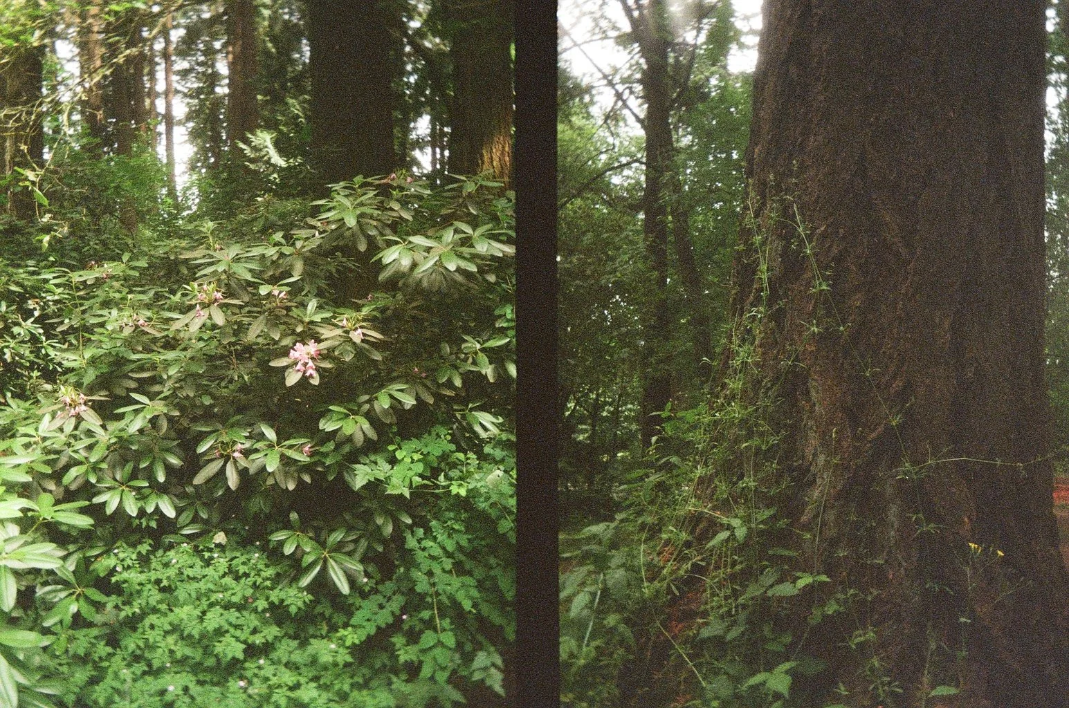 001047990031_32A.jpg