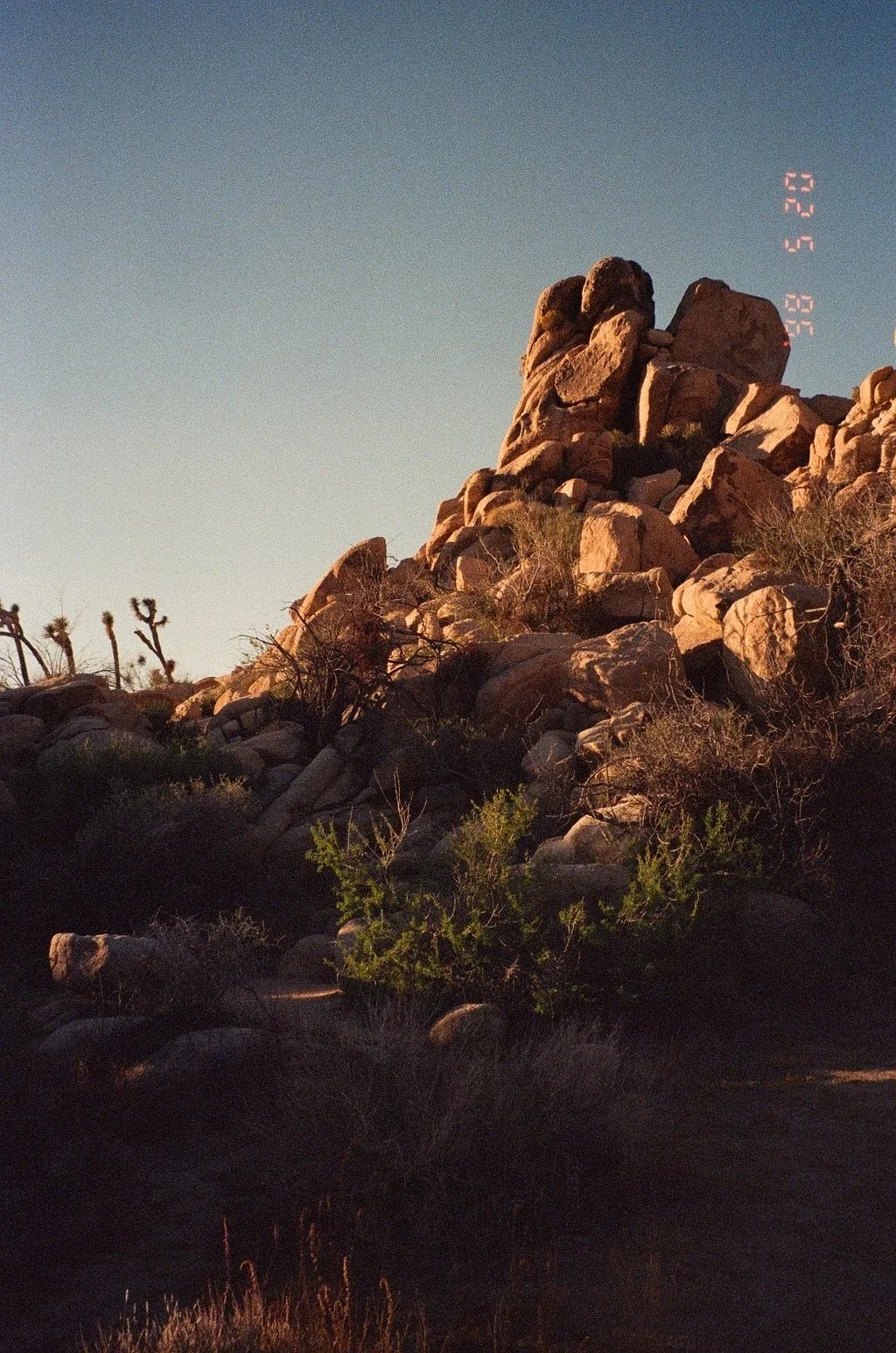 001048000012_12A.jpg