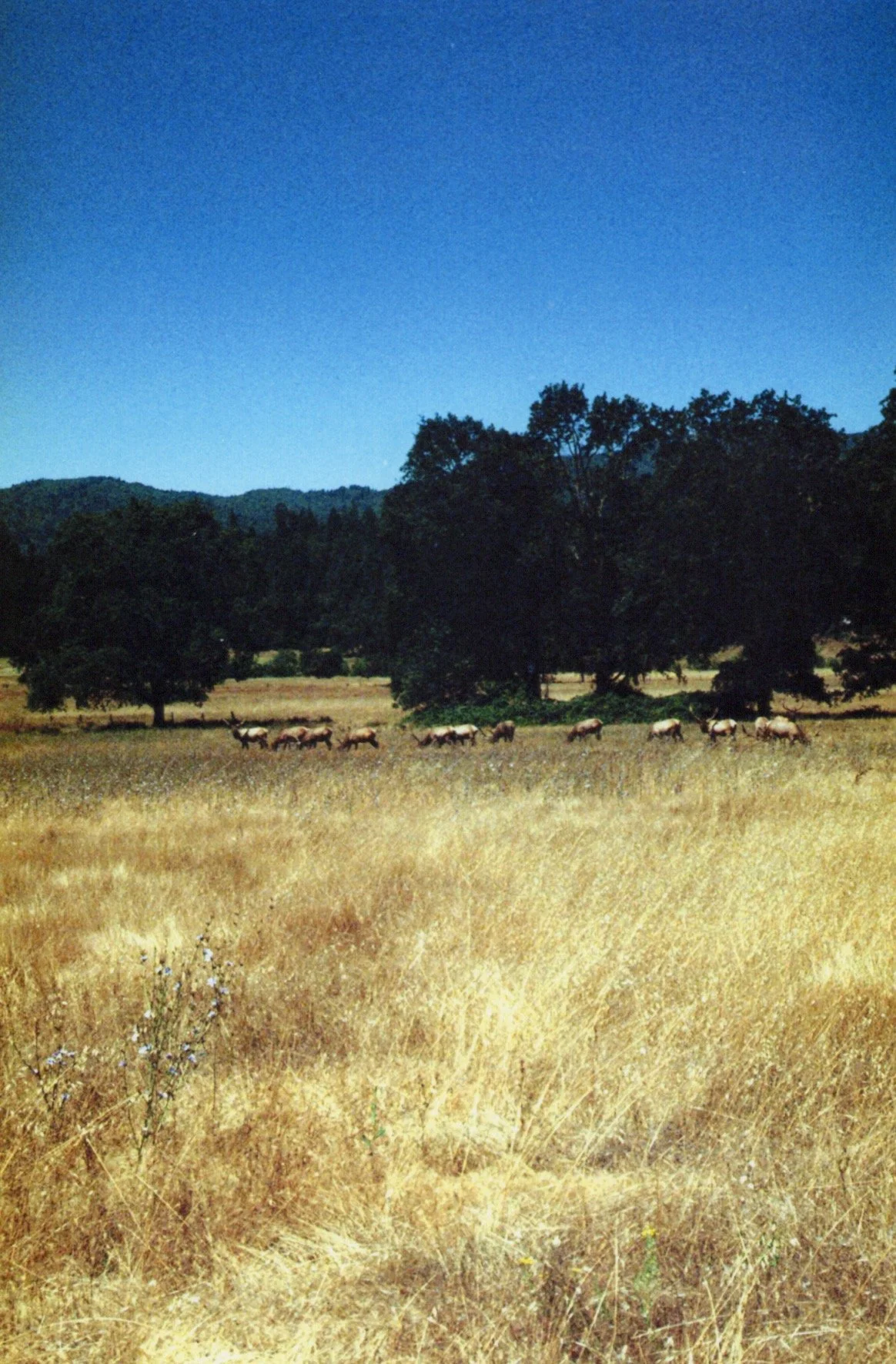 Image_20260515_0002.jpg