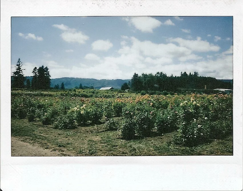img468.jpg