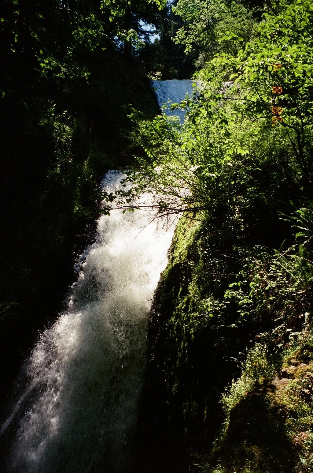 9963_07A.jpg