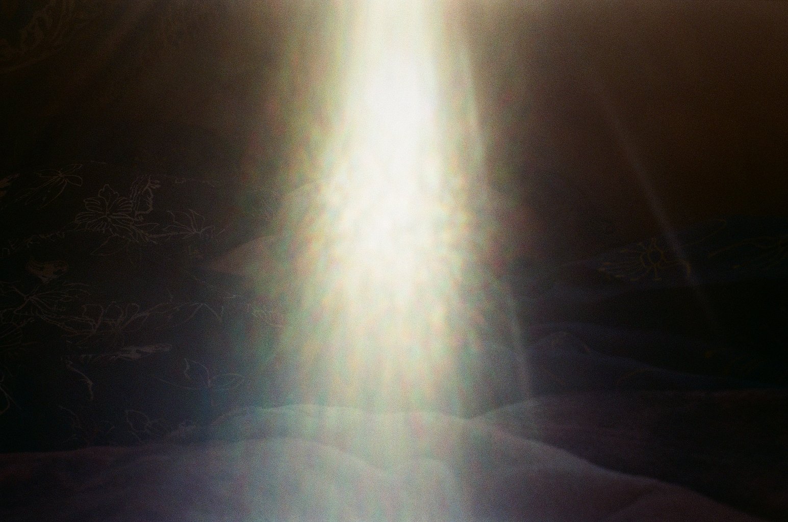 9966_24.jpg