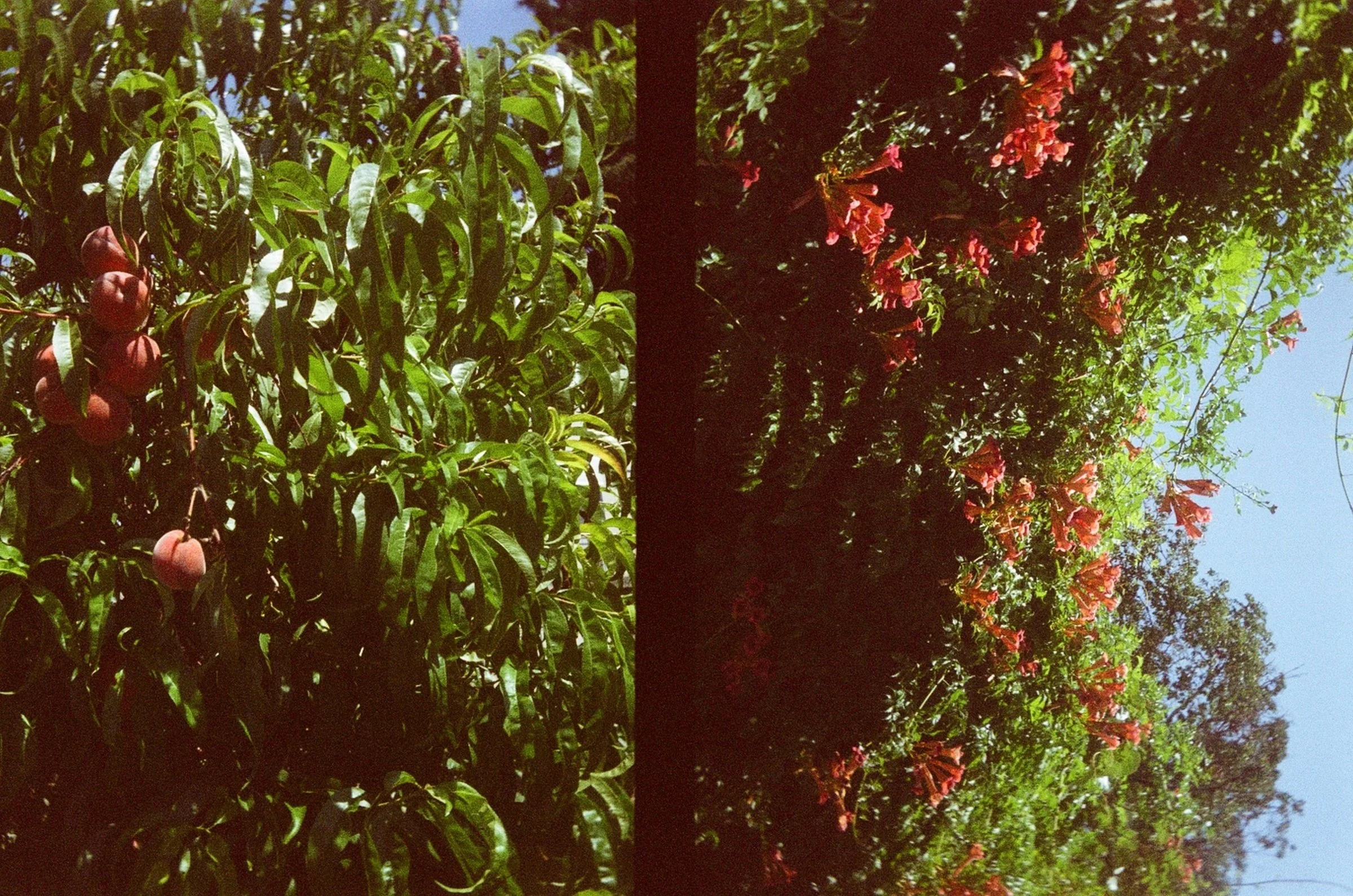 001100880017_13A.jpg