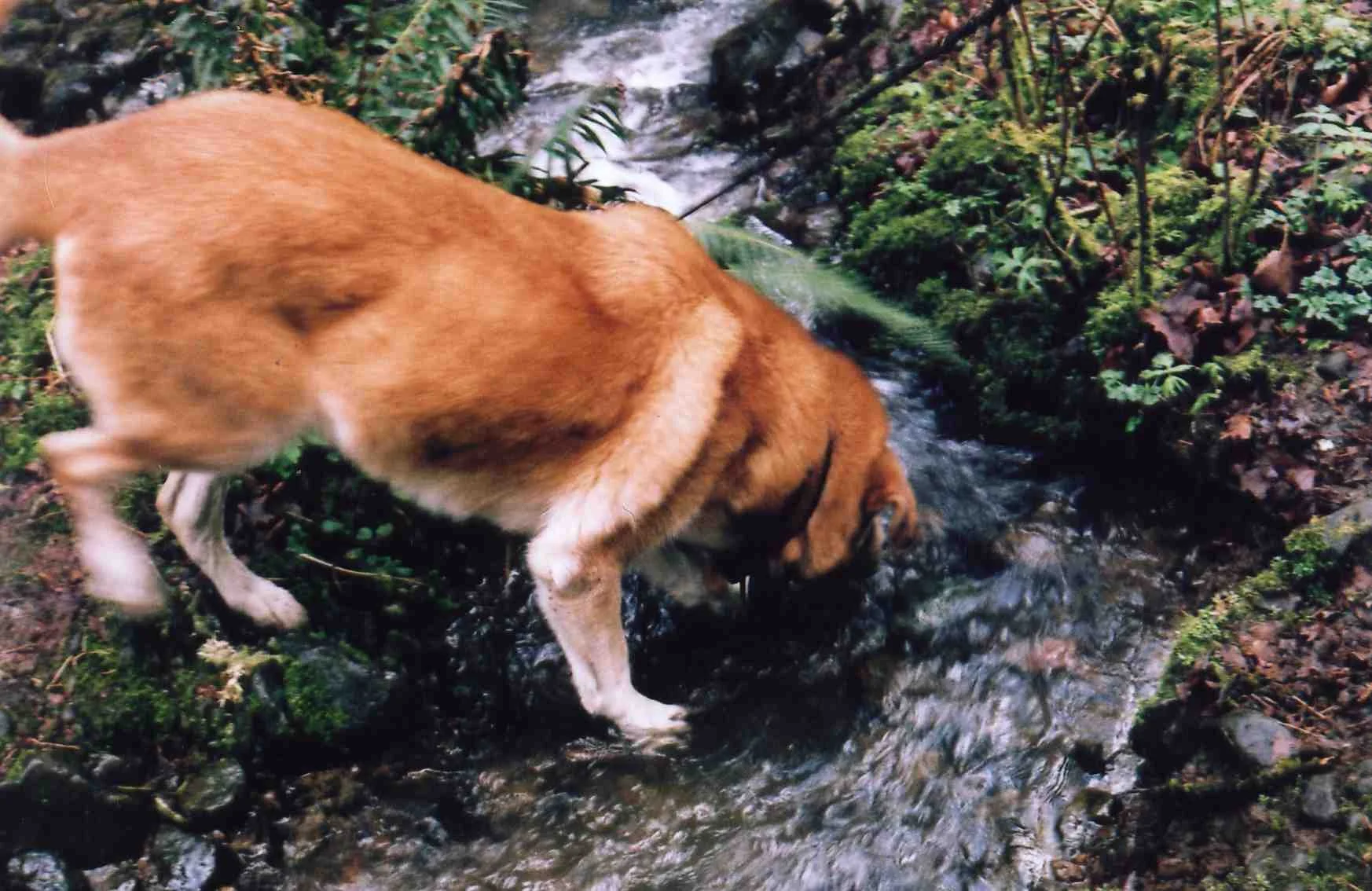 img056.jpg