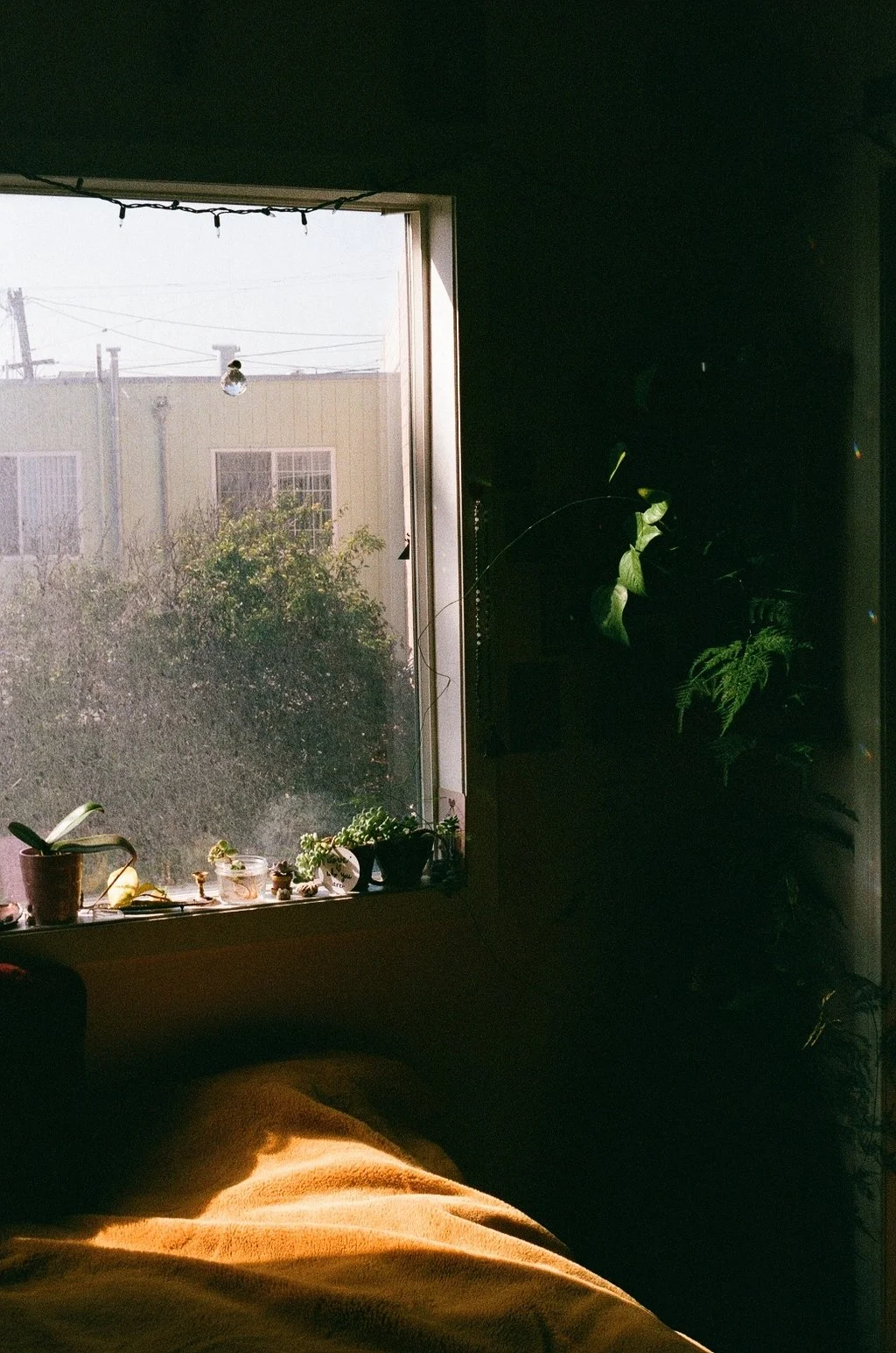 9967_17.jpg