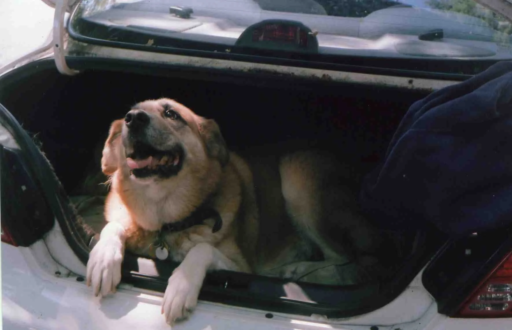 img113.jpg