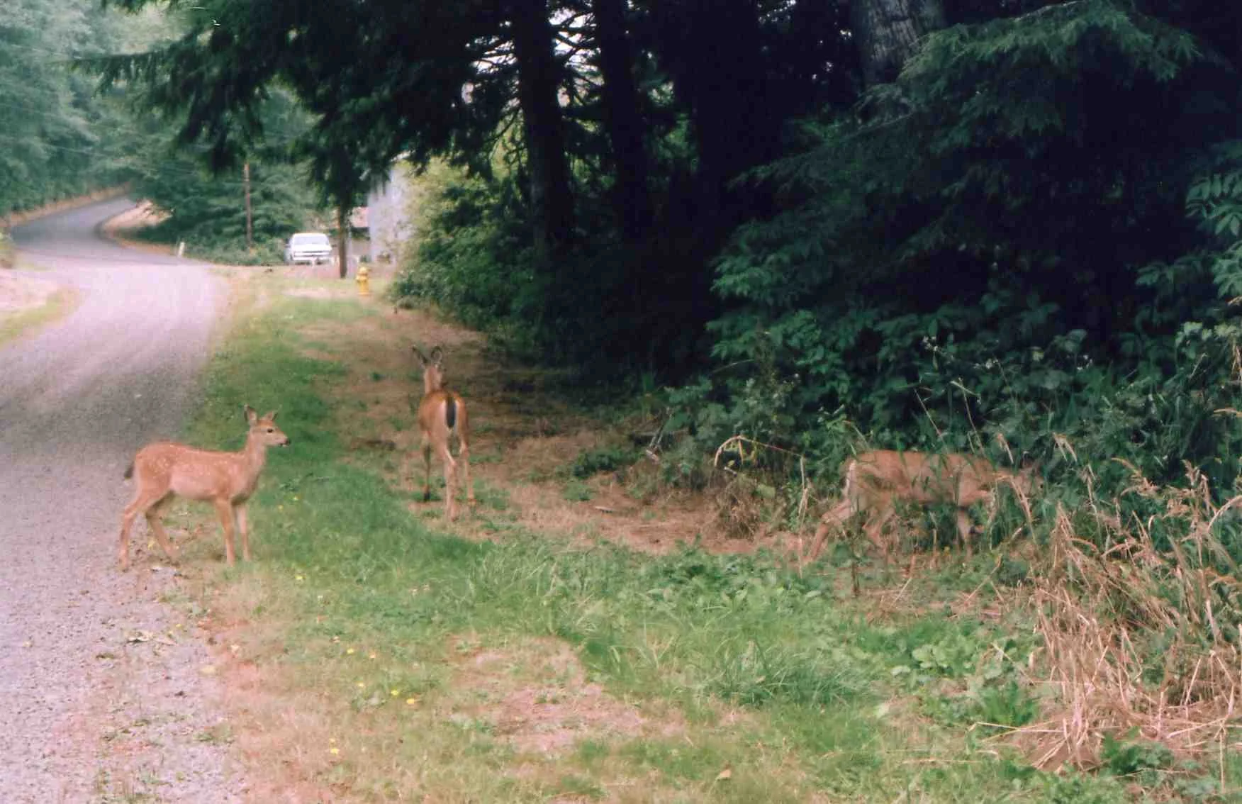 img124.jpg
