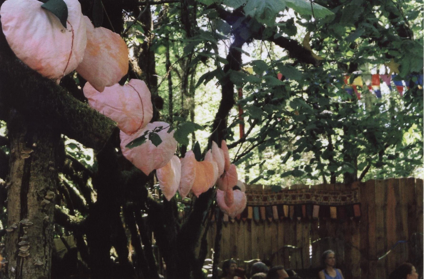 img215.jpg