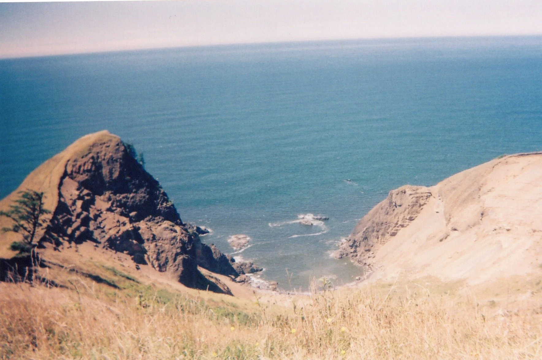 Image_20260512_0144.jpg