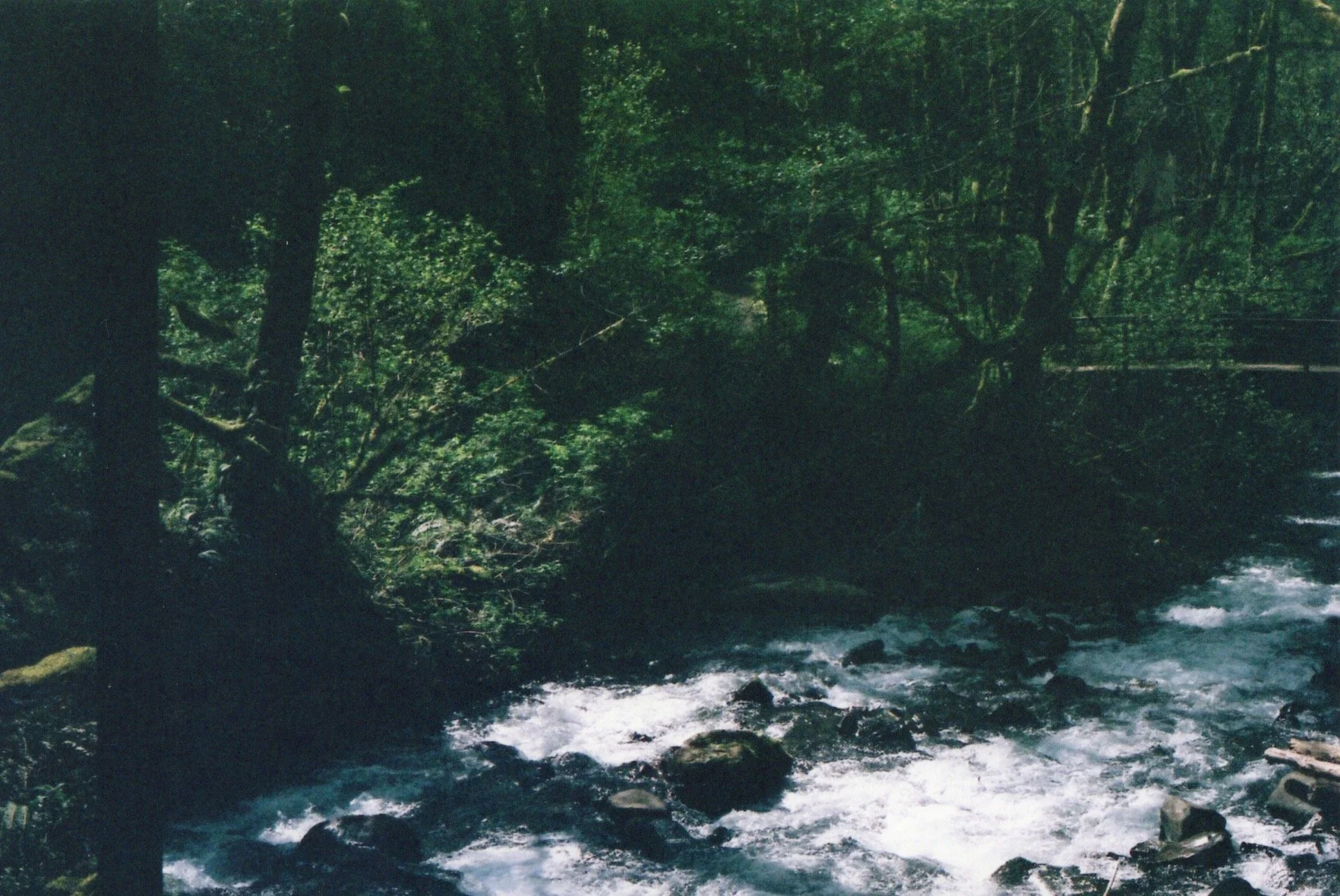 Image_20260513_0014.jpg