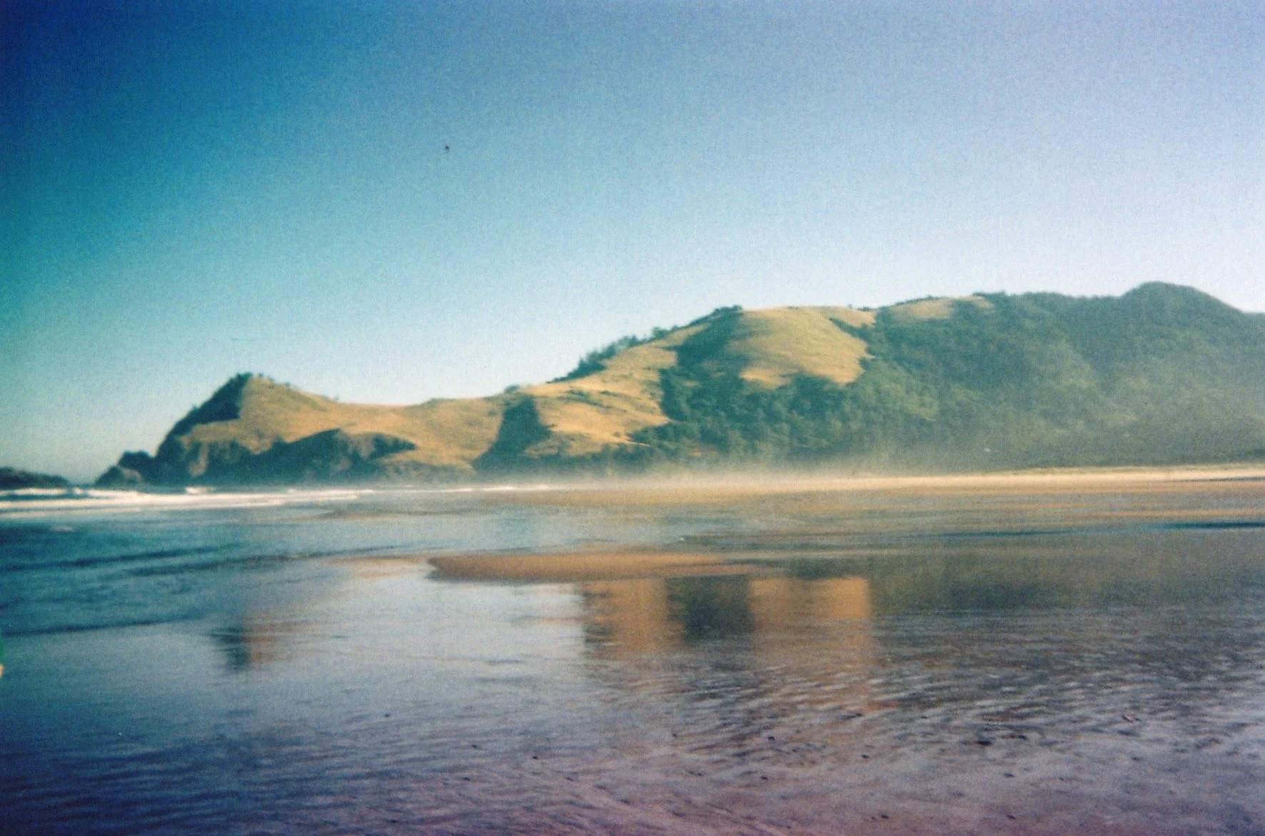Image_20260512_0153.jpg