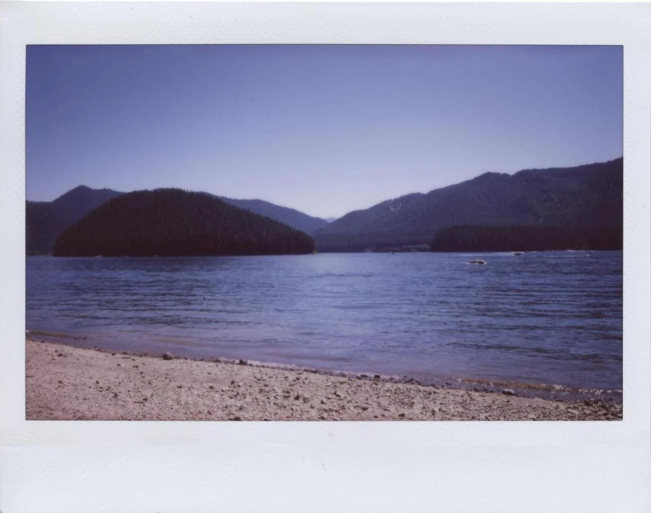 img335.jpg