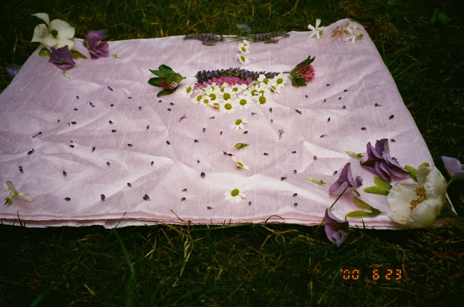 0755_16A.jpg