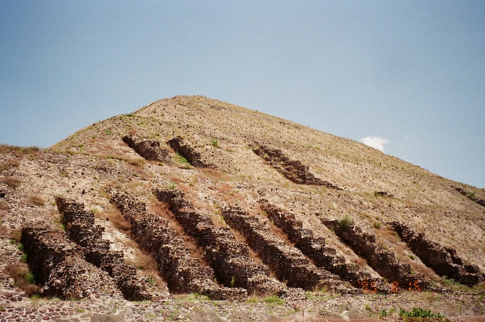 9963_29A.jpg