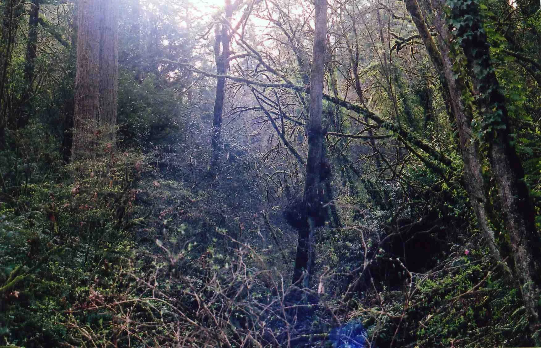 img062.jpg