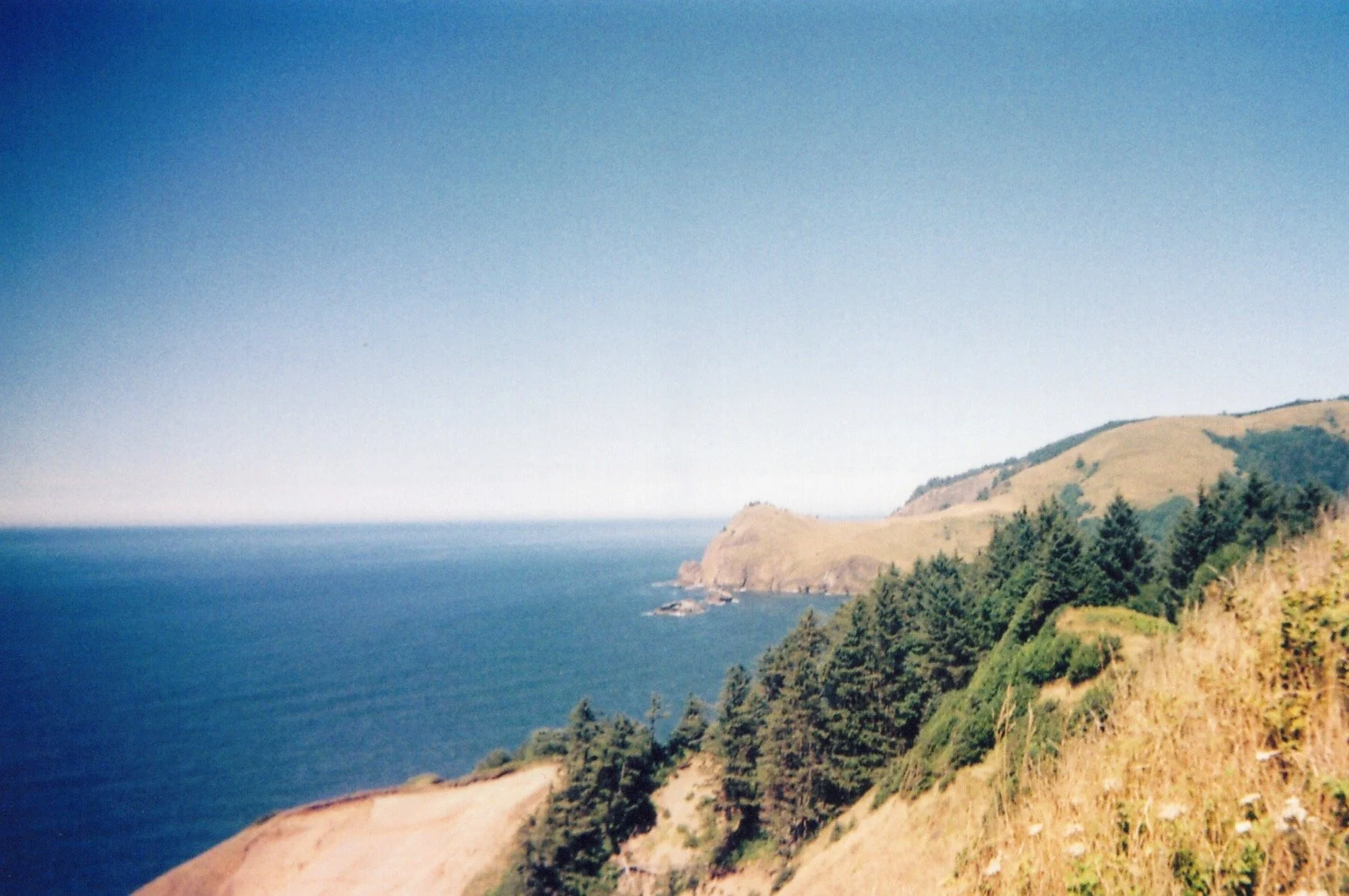Image_20260512_0143.jpg