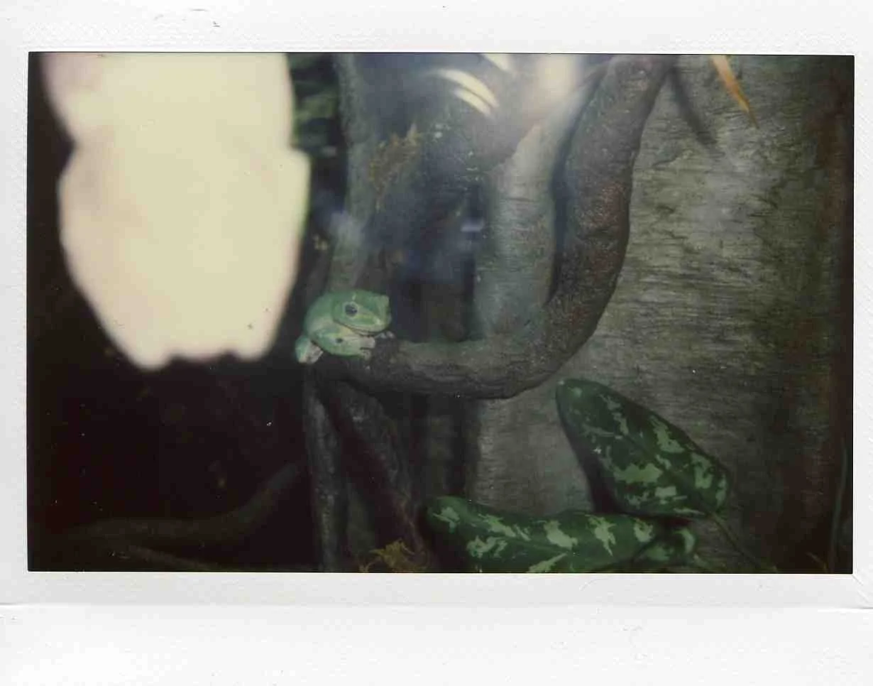 img041.jpg