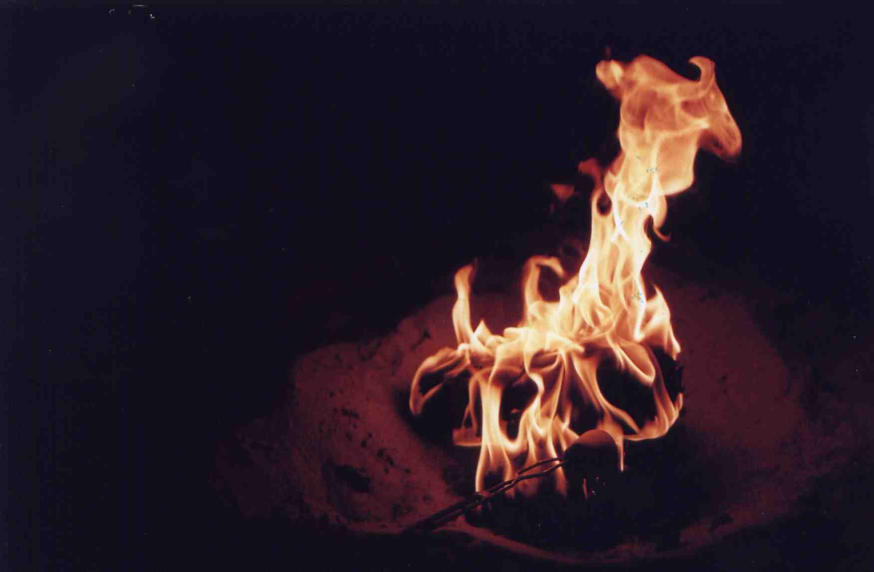 img135.jpg
