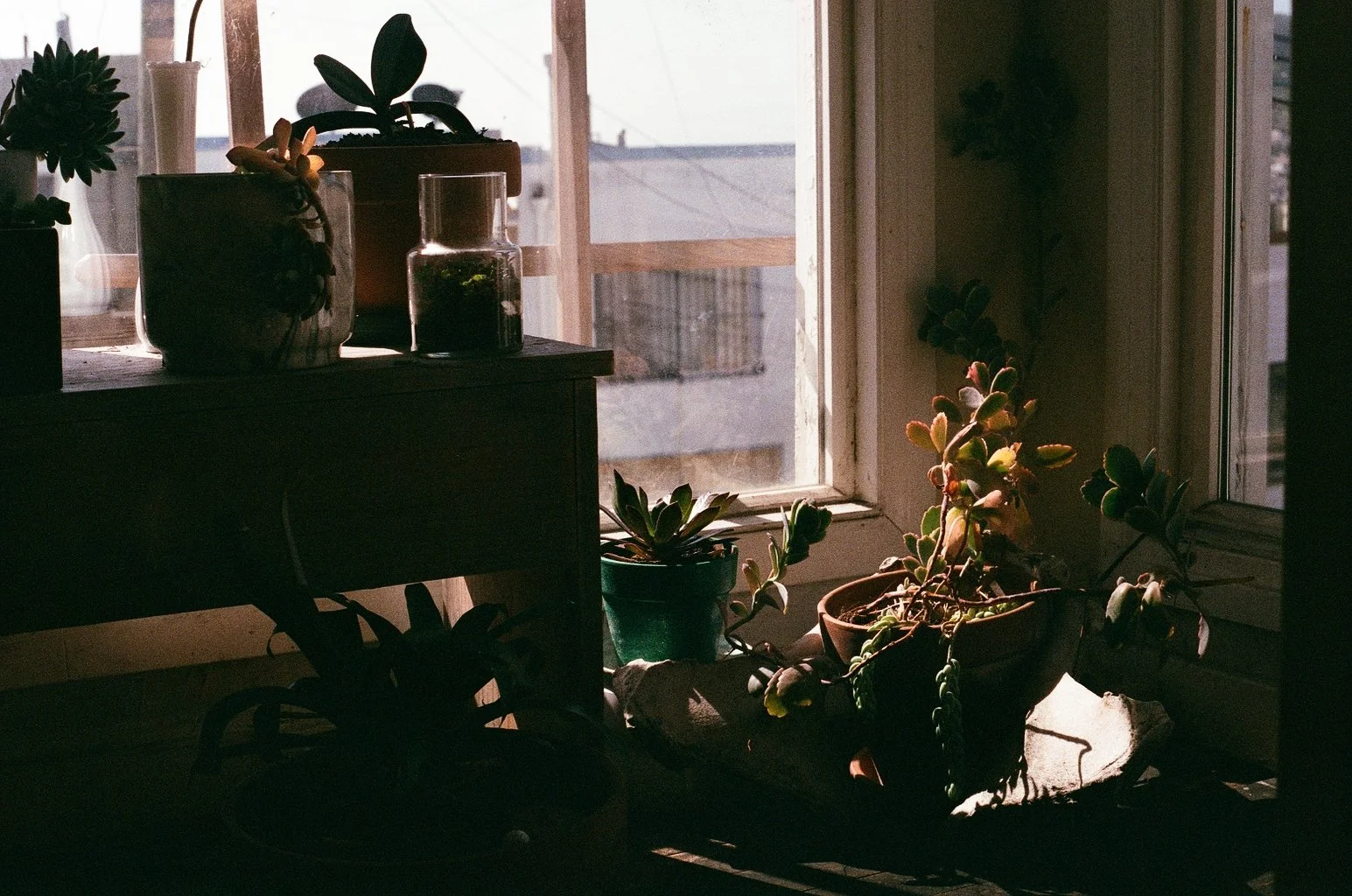 9966_18.jpg