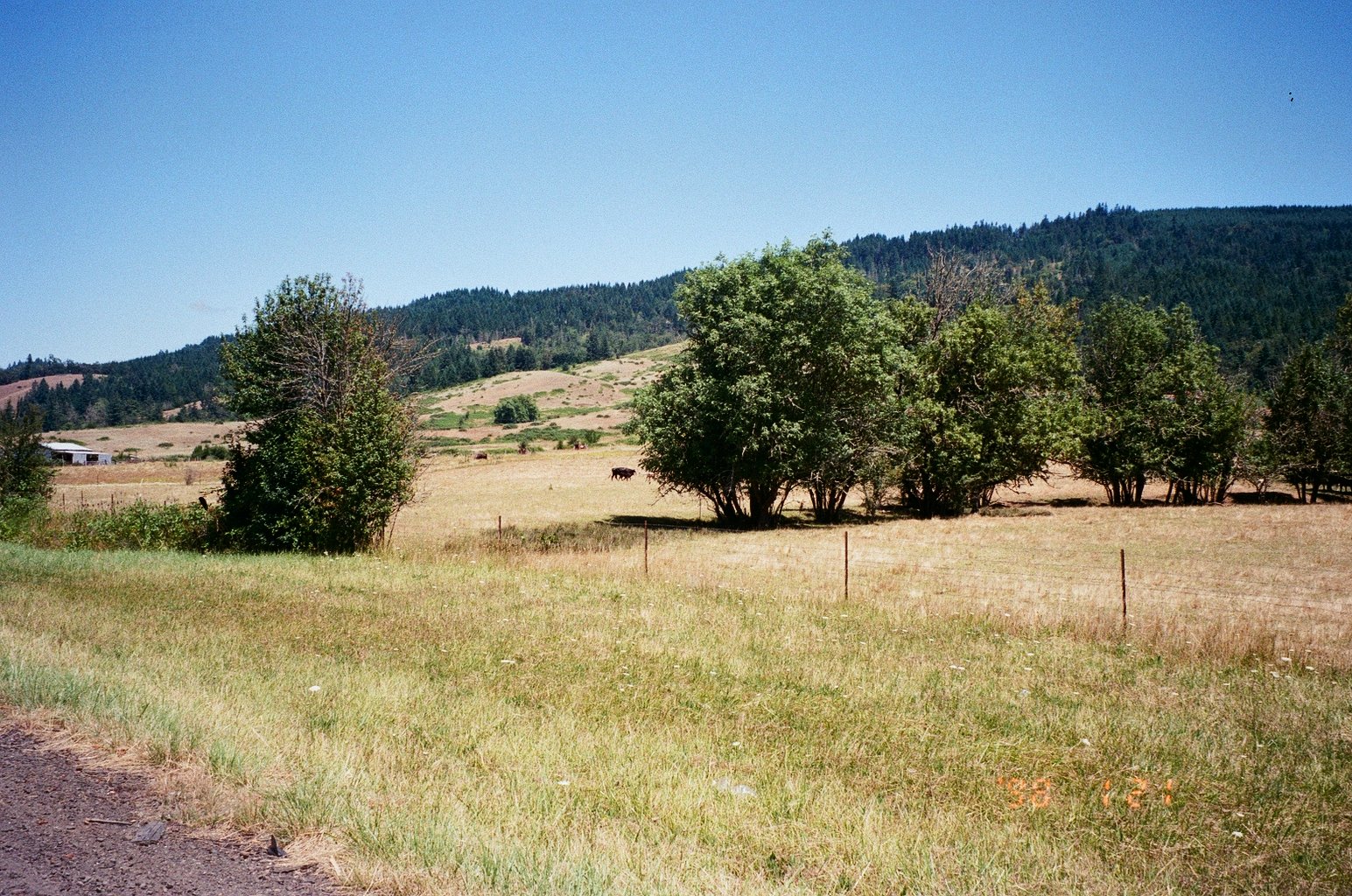 9960_18A.jpg
