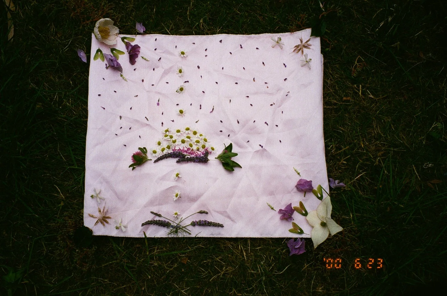 0755_15A.jpg