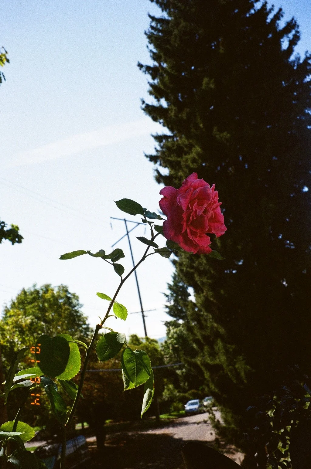 8793_28.jpg
