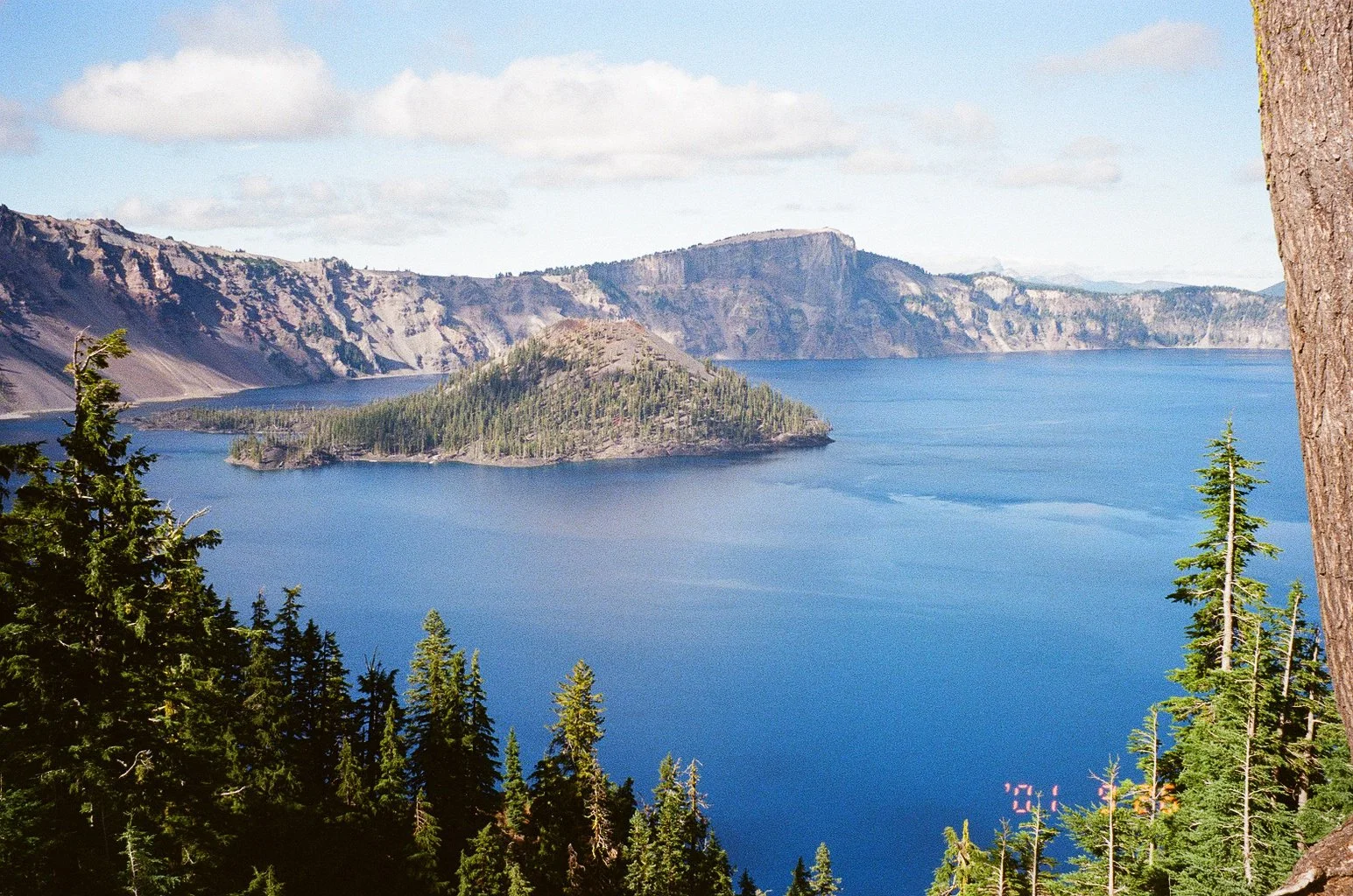 8793_35.jpg