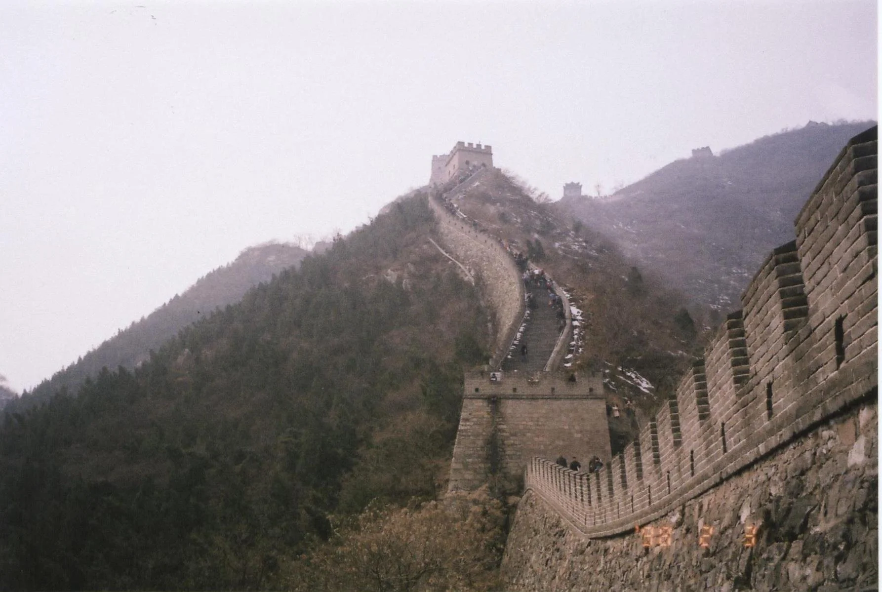 img262.jpg