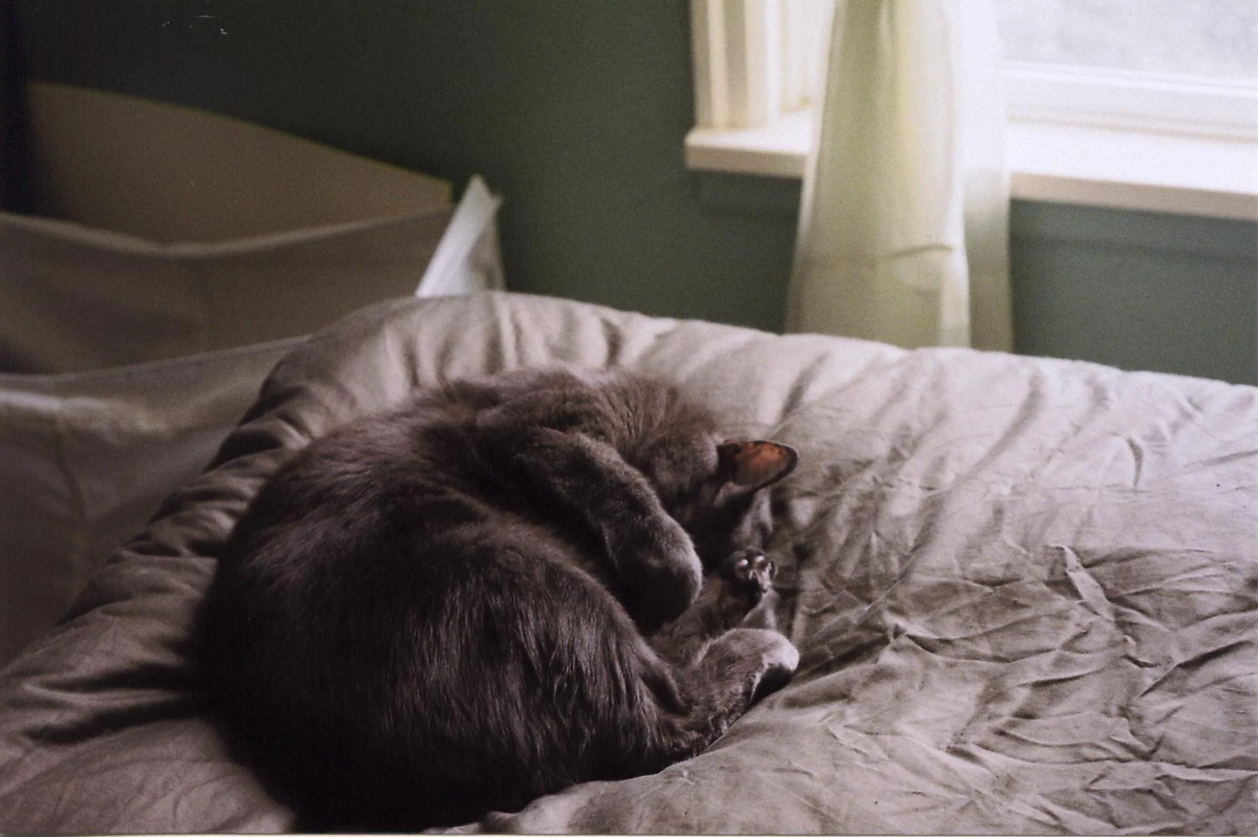 img230.jpg
