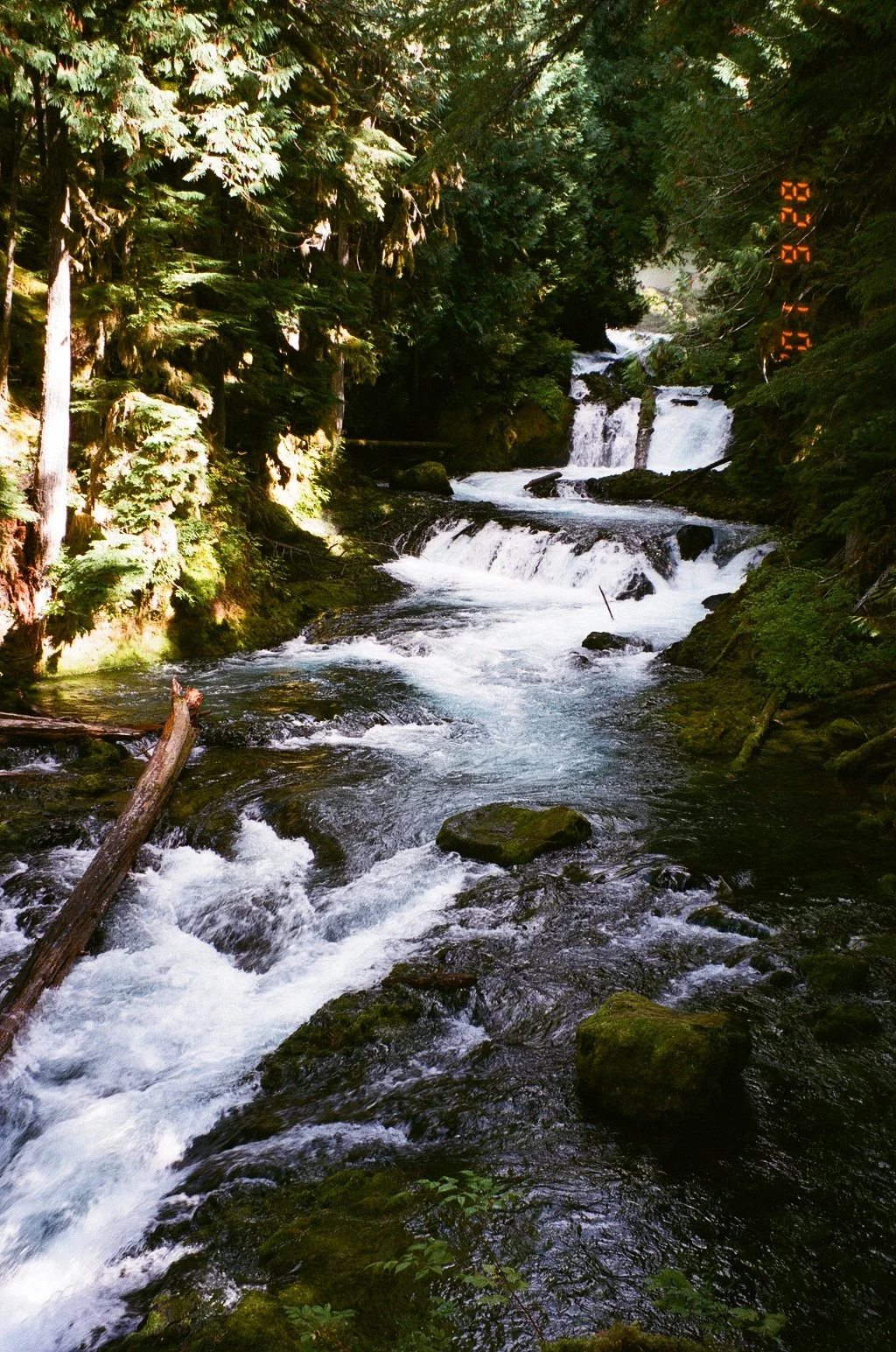 8792_19A.jpg