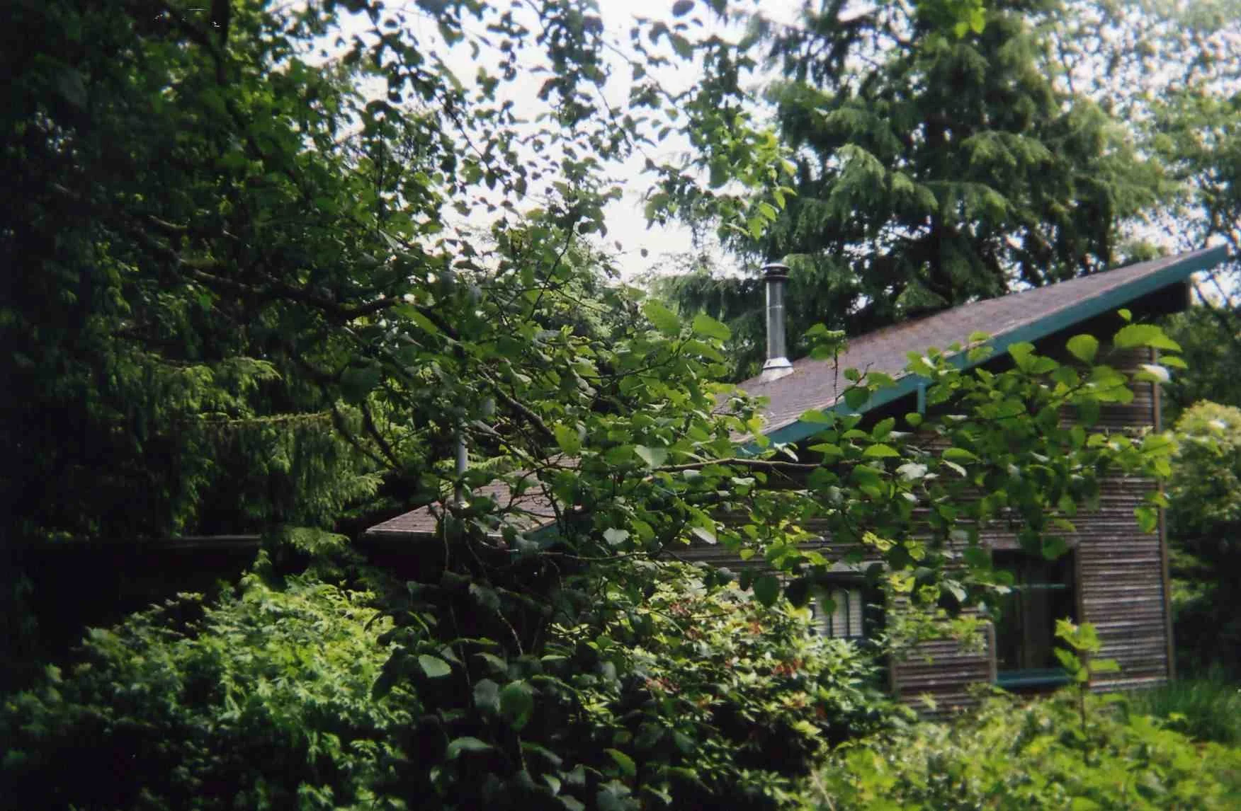 img017.jpg