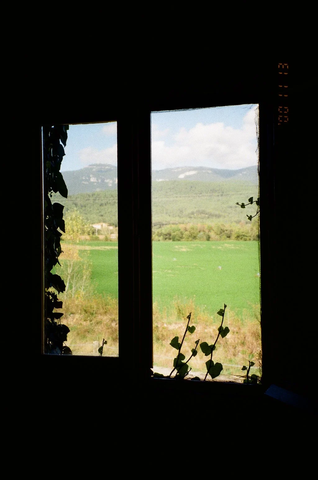 0424_24A.jpg