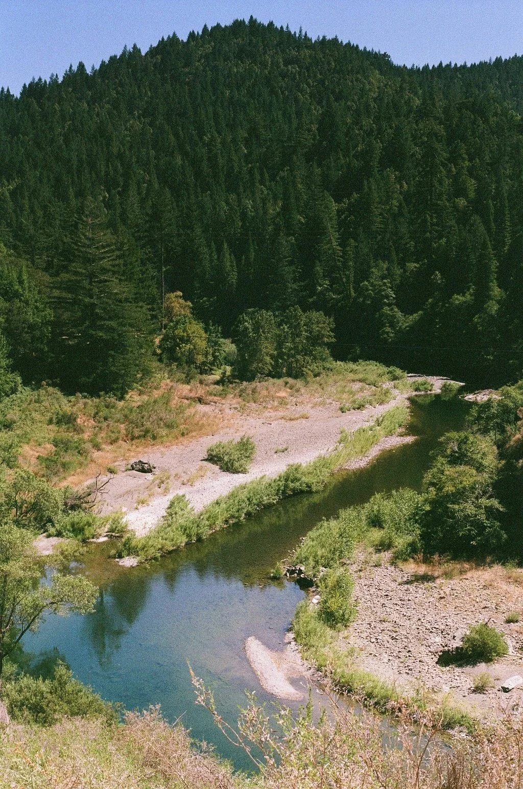 9962_10A.jpg
