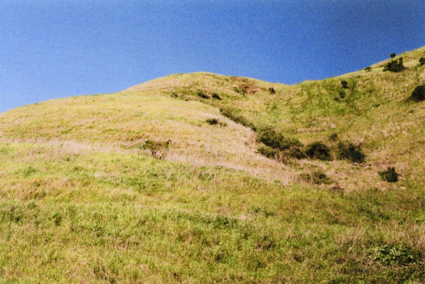 Image_20260512_0129.jpg