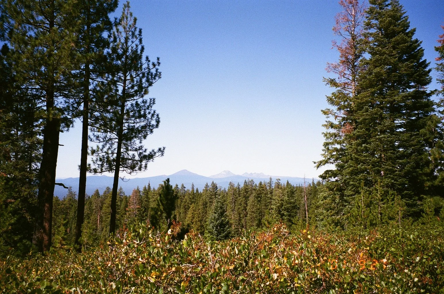 8792_07A.jpg