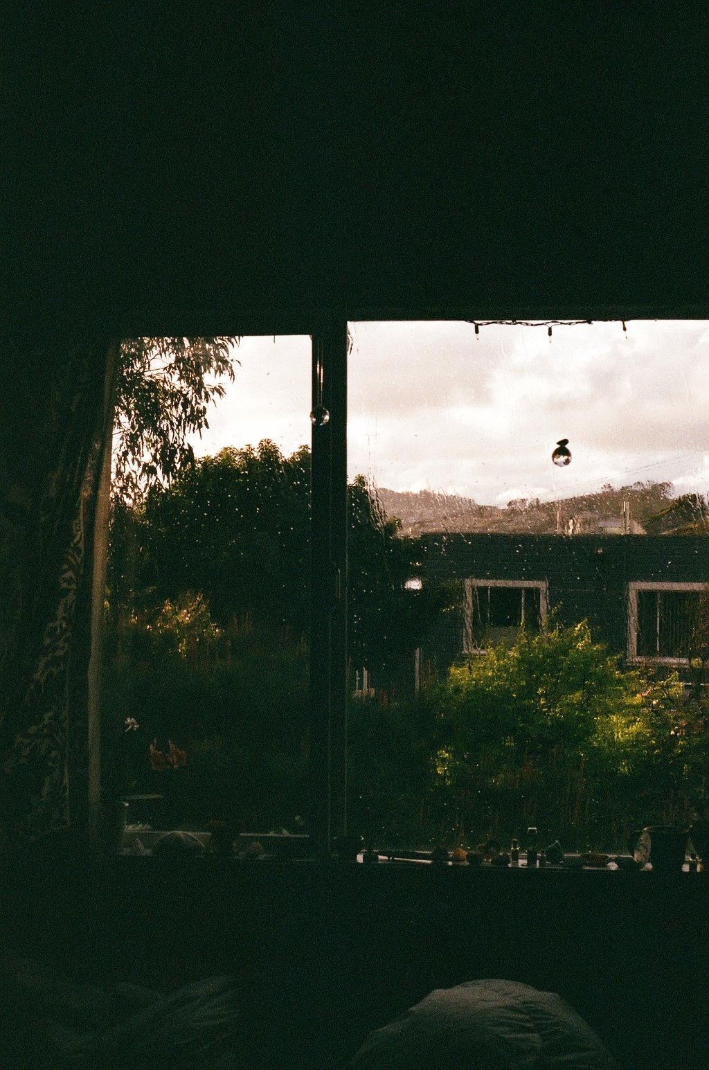 9966_13.jpg