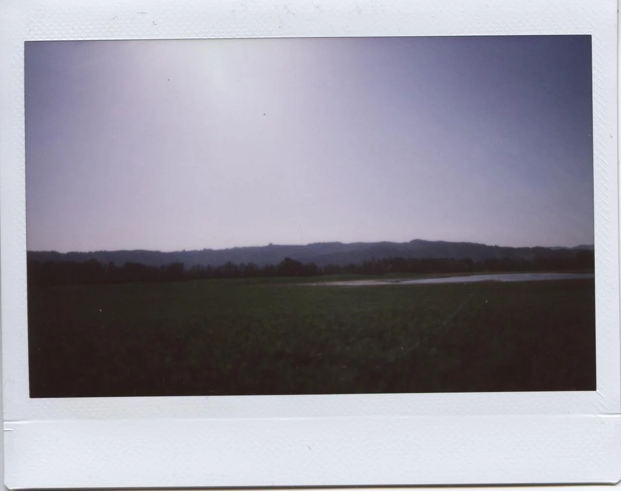 sauvie.jpg