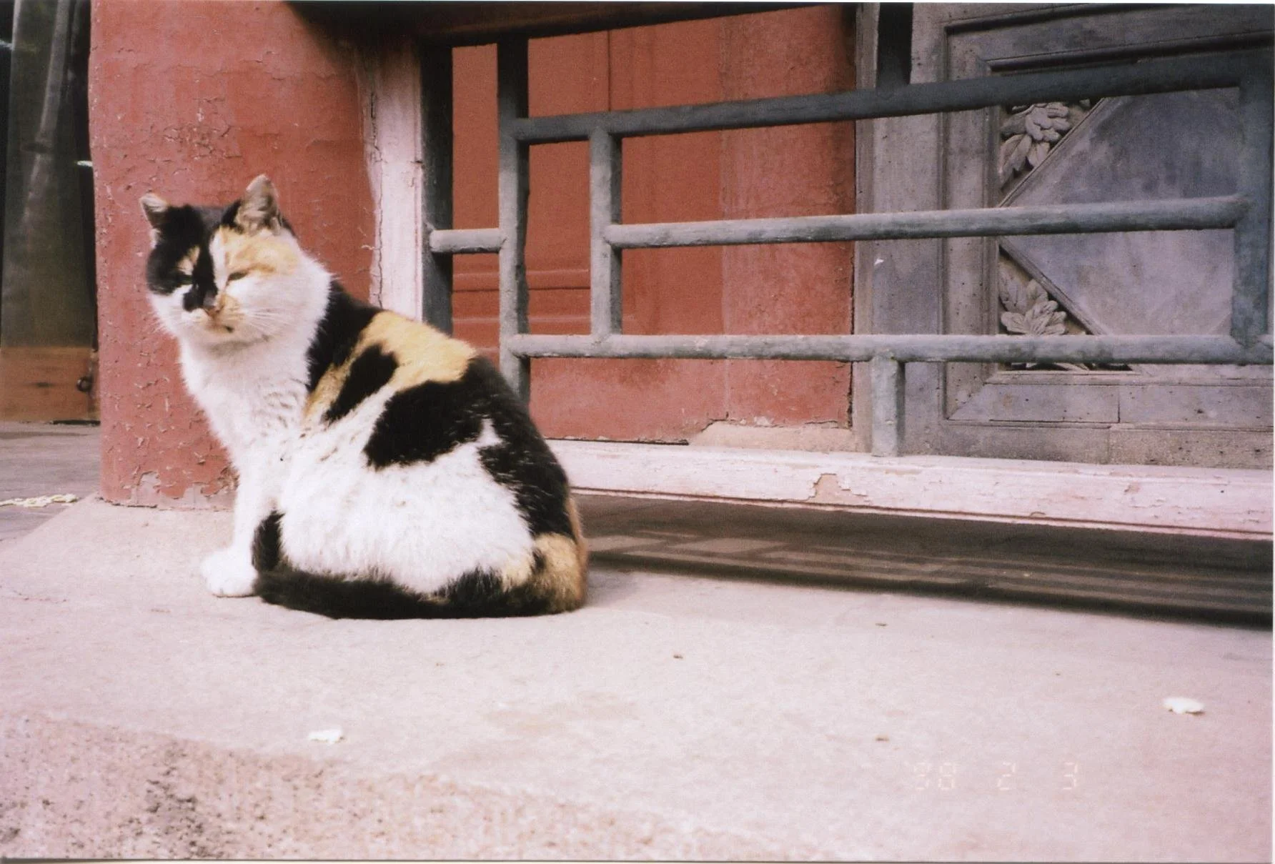 img258.jpg