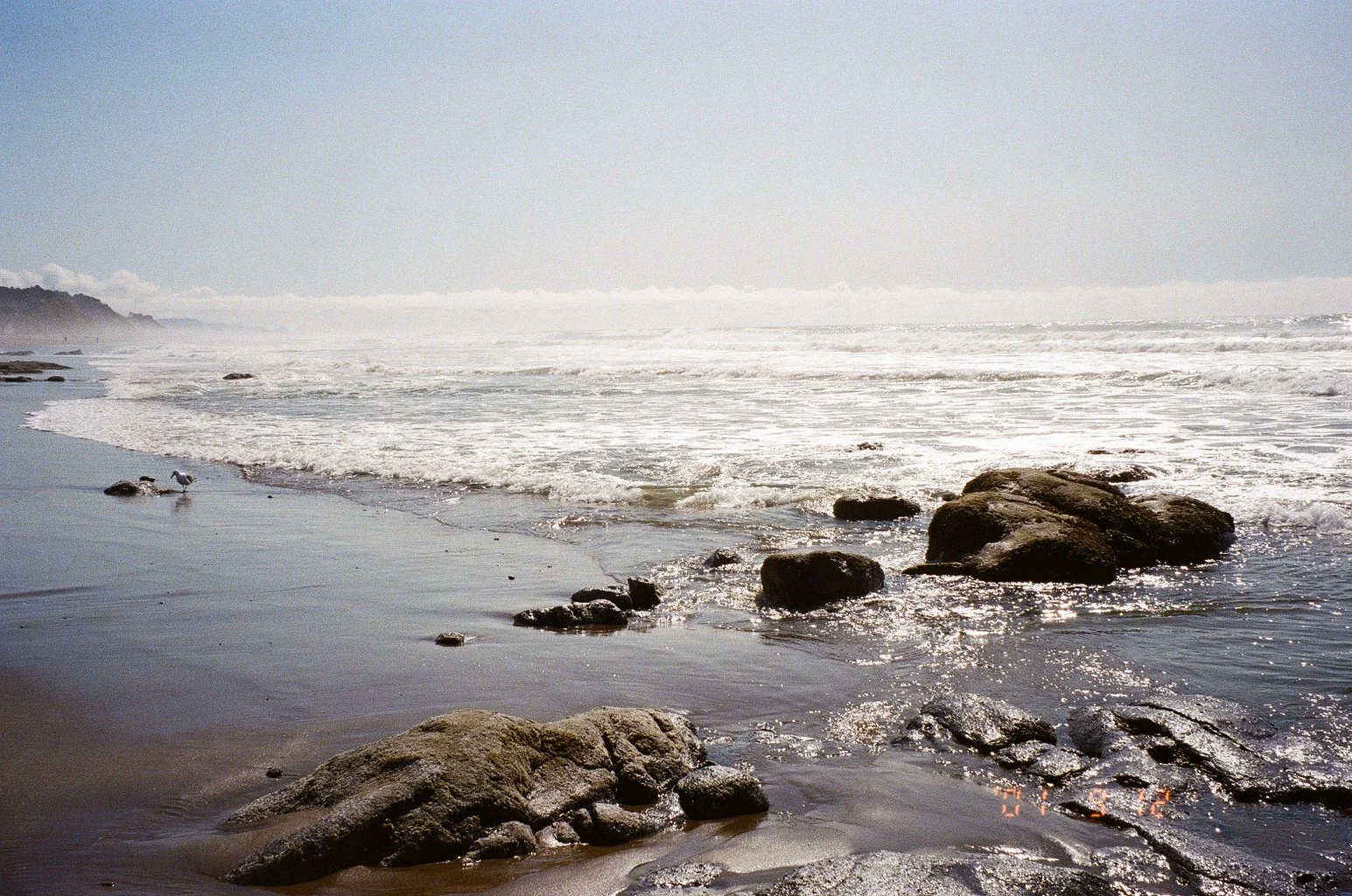 8793_23.jpg