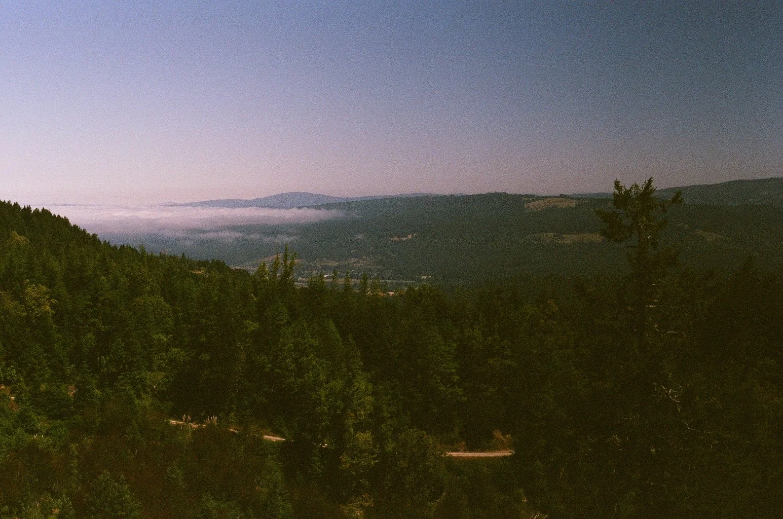 9962_21A.jpg